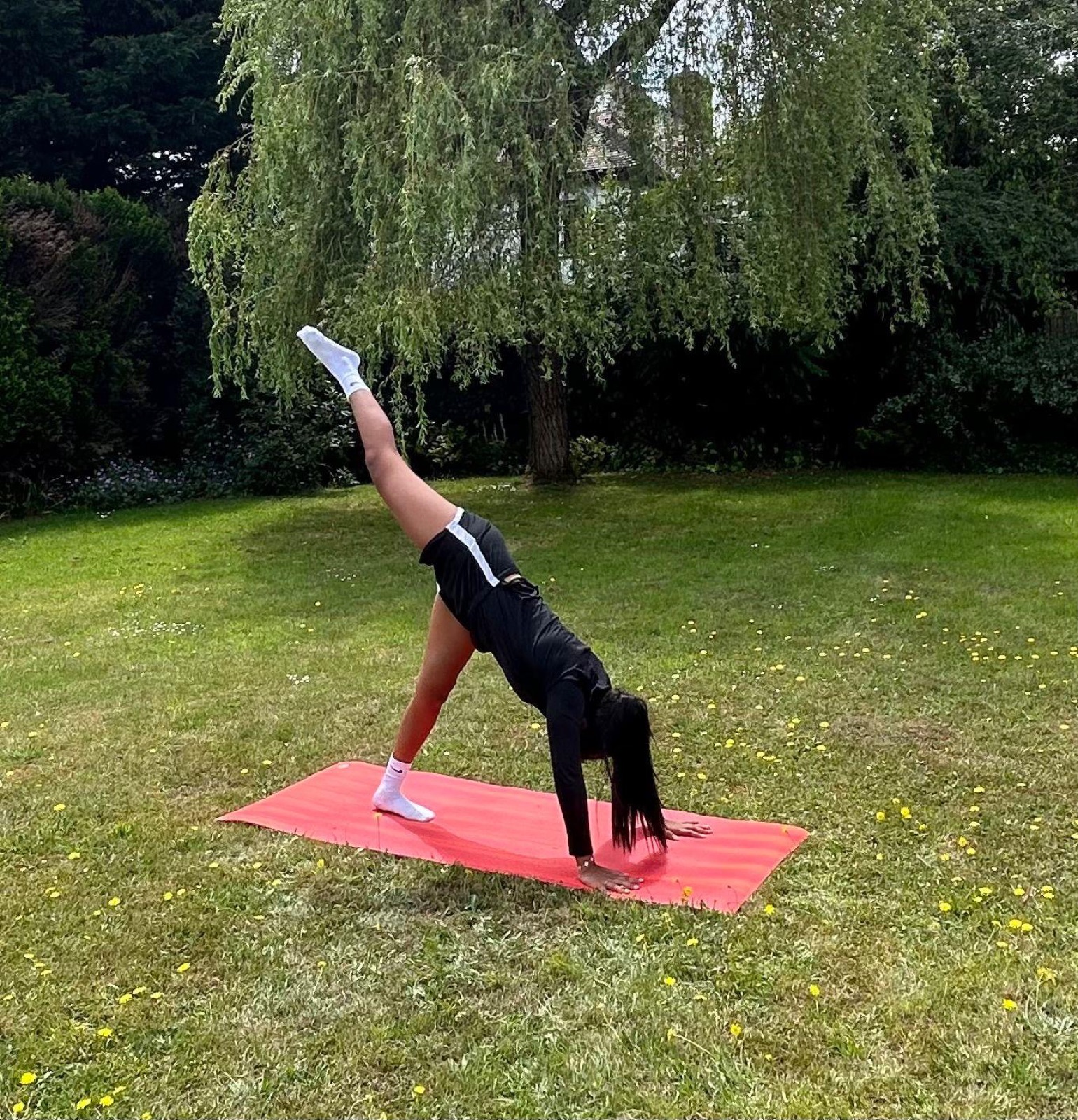 Three legged downward dog on a red mat in the garden