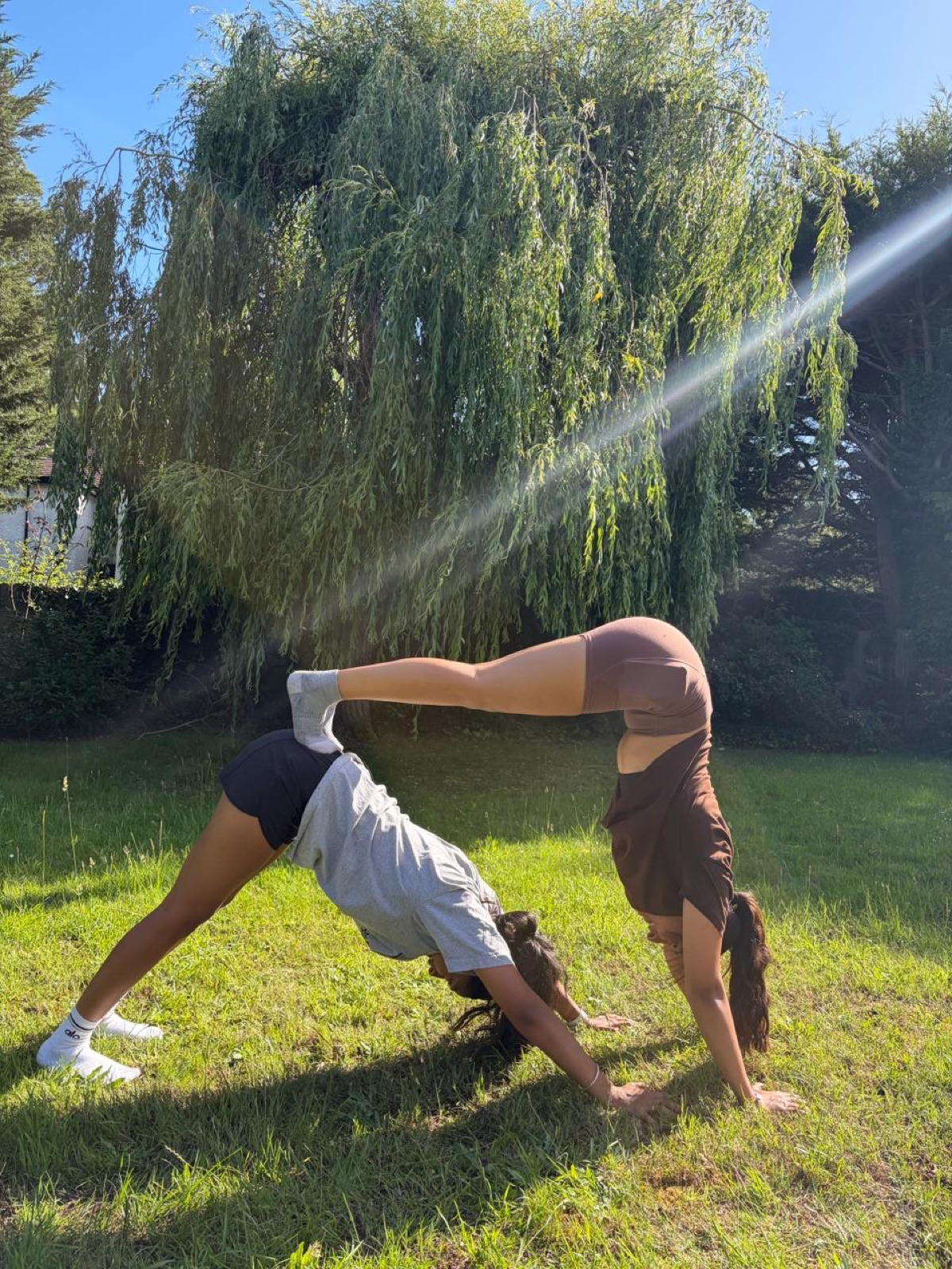 Double downward dog with a practice partner