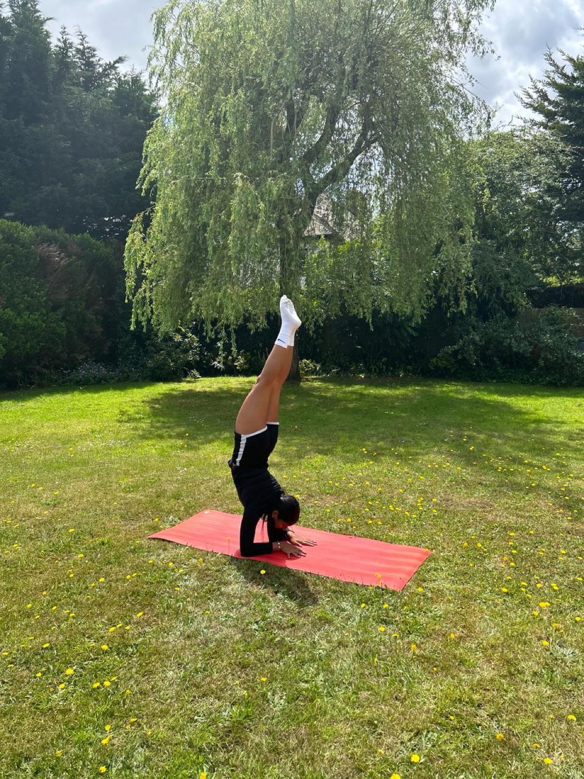 Headstand on a red mat under a willow tree